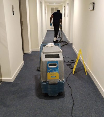 Carpet Cleaning